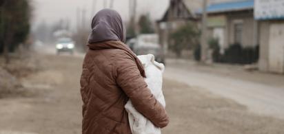 Titelbild zum Beitrag 