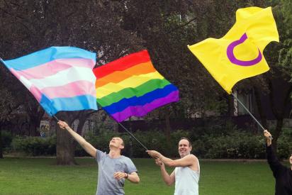 Drei Personen stehen auf einer Wiese und schwingen jeweils eine Pride-Flagge für trans, queere und intergeschlechtliche Menschen